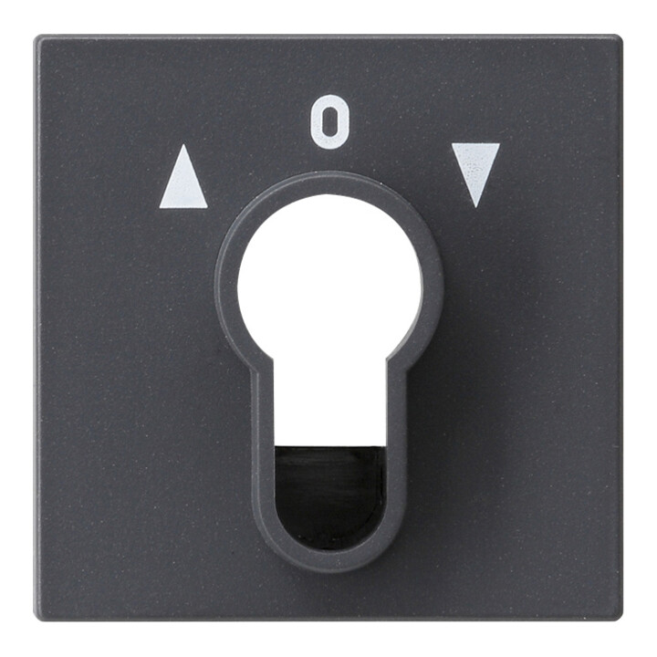 Gira Plaque centrale porte-clés anthracite System55 066428