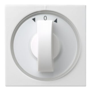 Gira Plaque centrale rws-gl avec bouton pour volets 066603