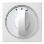 Gira Plaque centrale rws-gl avec bouton pour volets 066603-1
