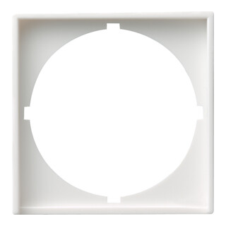 Gira Plaque centrale rws-gl pour interrupteur 50 × 50 rond 028103