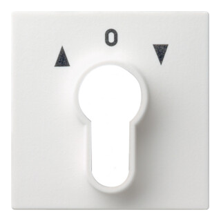 Gira Plaque centrale rws-gl pour interrupteur à clé 066403