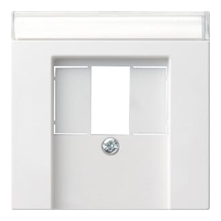 Gira Plaque centrale rws-gl pour prise TAE 087603