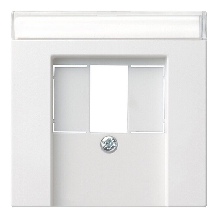 Gira Plaque centrale rws-gl pour prise TAE 087603