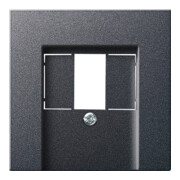 Gira Plaque centrale TAE anthracite System55 027628-1