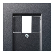 Gira Plaque centrale TAE anthracite System55 027628-3