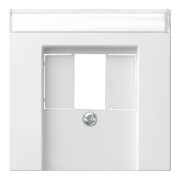 Gira Plaque centrale TAE rws avec inscription, System55 087627-1