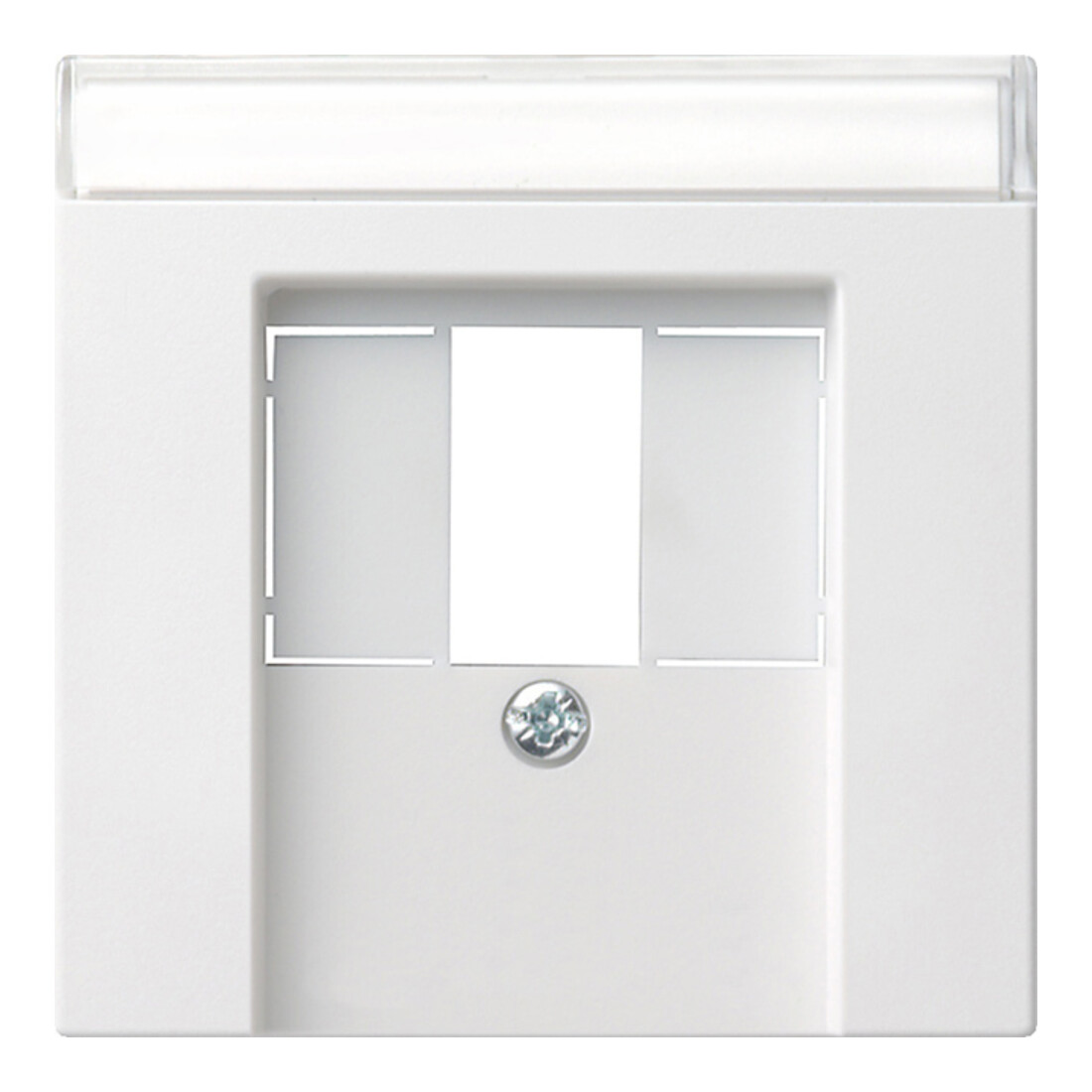 Gira Plaque centrale TAE rws avec inscription, System55 087627