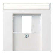 Gira Plaque centrale TAE rws avec inscription, System55 087627-3