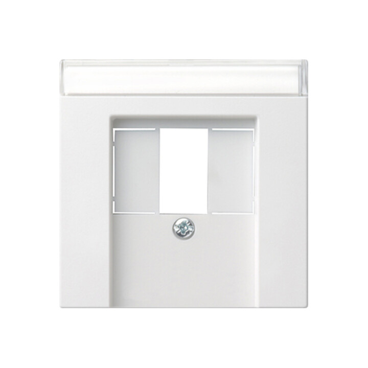 Gira Plaque centrale TAE rws avec inscription, System55 087627