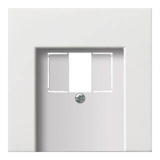 Gira Plaque centrale TAE rws-gl 0276112