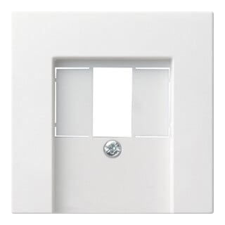 Gira Plaque centrale TAE rws System55 027627