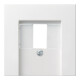 Gira Plaque centrale TAE rws System55 027627