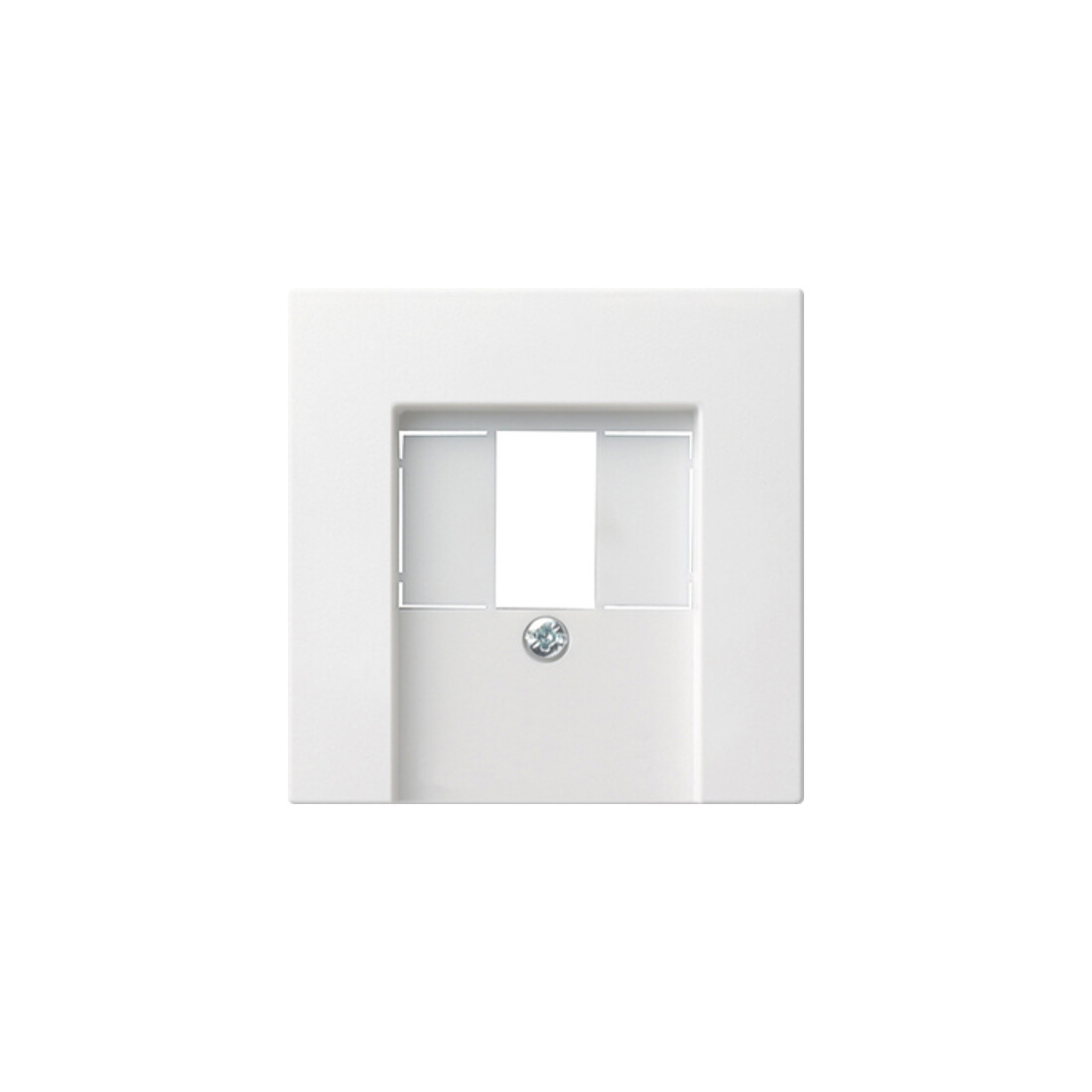 Gira Plaque centrale TAE rws System55 027627