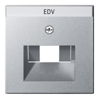 Gira Plaque centrale UAE/IAE alu avec inscription, System55 028426