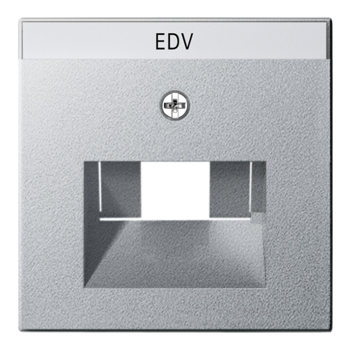 Gira Plaque centrale UAE/IAE alu avec inscription, System55 028426