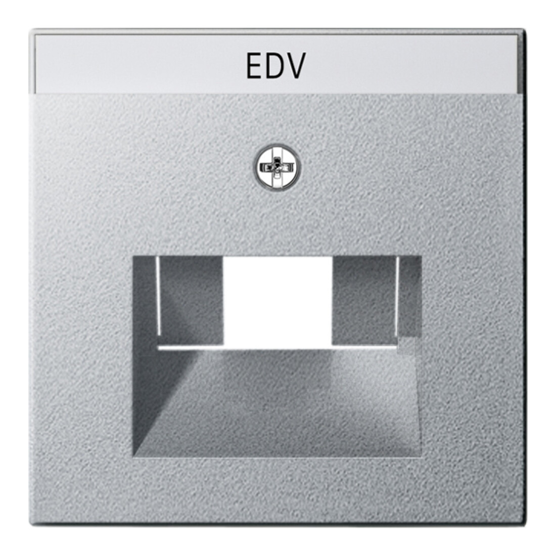 Gira Plaque centrale UAE/IAE alu avec inscription, System55 028426