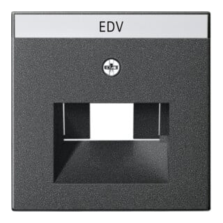 Gira Plaque centrale UAE/IAE anthracite avec inscription, System55 028428