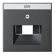 Gira Plaque centrale UAE/IAE anthracite avec inscription, System55 028428-1