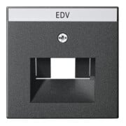 Gira Plaque centrale UAE/IAE anthracite avec inscription, System55 028428-3