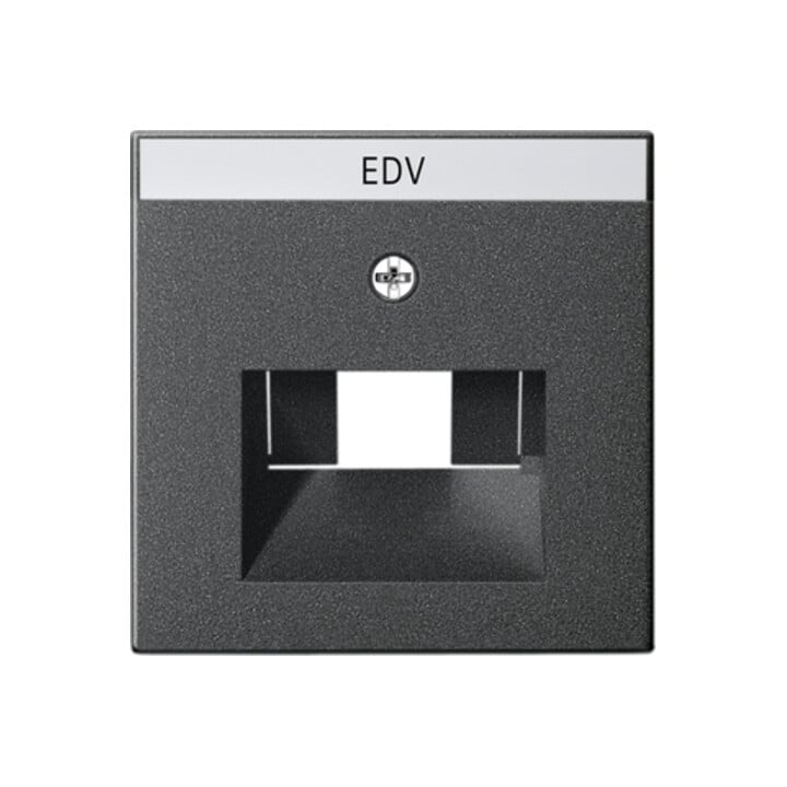 Gira Plaque centrale UAE/IAE anthracite avec inscription, System55 028428