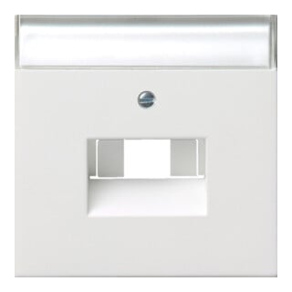Gira Plaque centrale UAE/IAE/ISDN rws/gl avec champ d’écriture 0284112