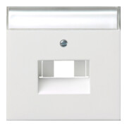 Gira Plaque centrale UAE/IAE/ISDN rws/gl avec champ d’écriture 0284112-1