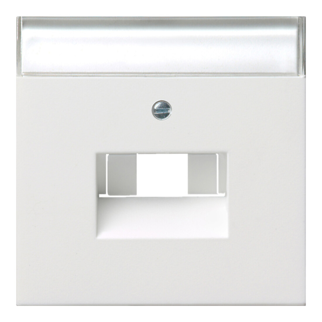 Gira Plaque centrale UAE/IAE/ISDN rws/gl avec champ d’écriture 0284112
