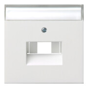 Gira Plaque centrale UAE/IAE/ISDN rws/gl avec champ d’écriture 0284112-3