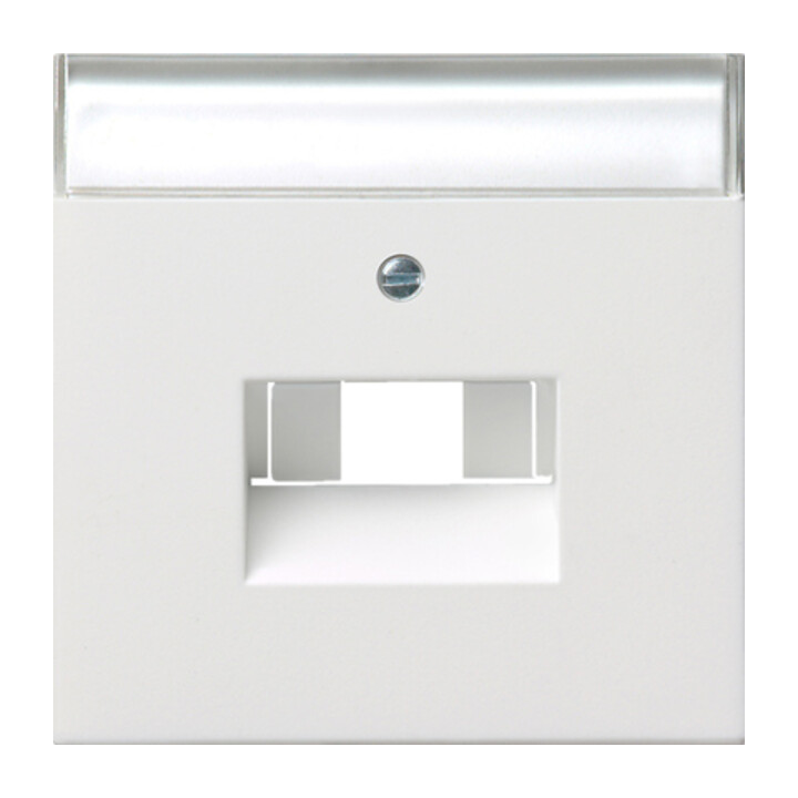 Gira Plaque centrale UAE/IAE/ISDN rws/gl avec champ d’écriture 0284112