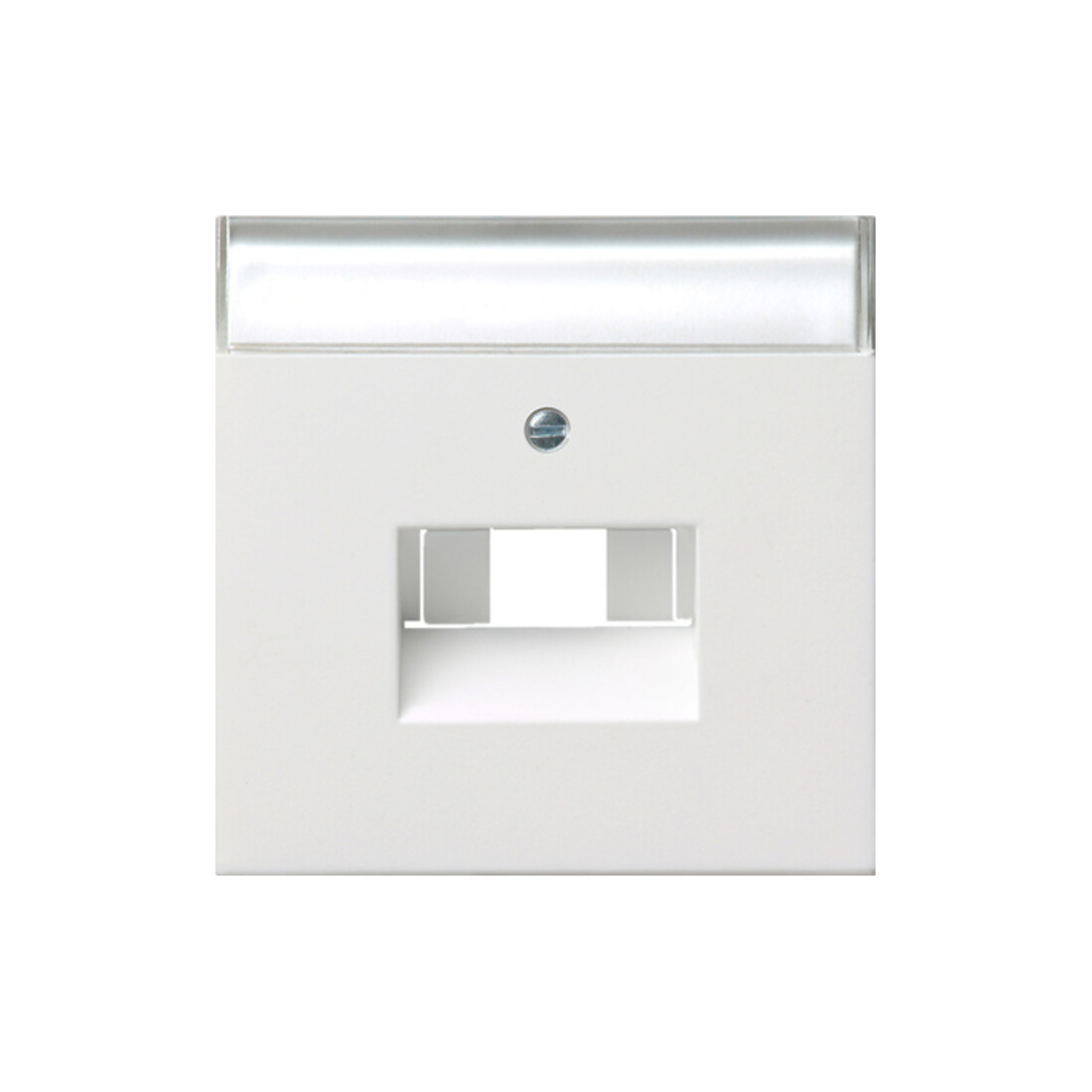 Gira Plaque centrale UAE/IAE/ISDN rws/gl avec champ d’écriture 0284112