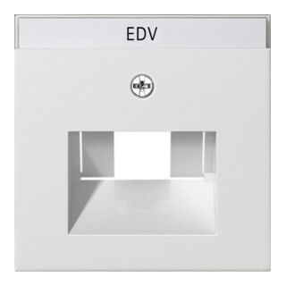 Gira Plaque centrale UAE/IAE rws avec inscription, System55 028427