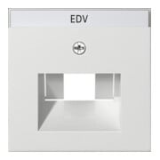 Gira Plaque centrale UAE/IAE rws avec inscription, System55 028427-1