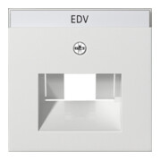 Gira Plaque centrale UAE/IAE rws avec inscription, System55 028427-3