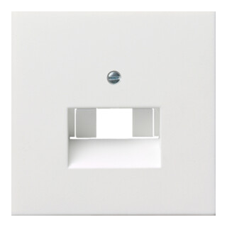Gira Plaque centrale UAE/IAE rws/gl 0270112