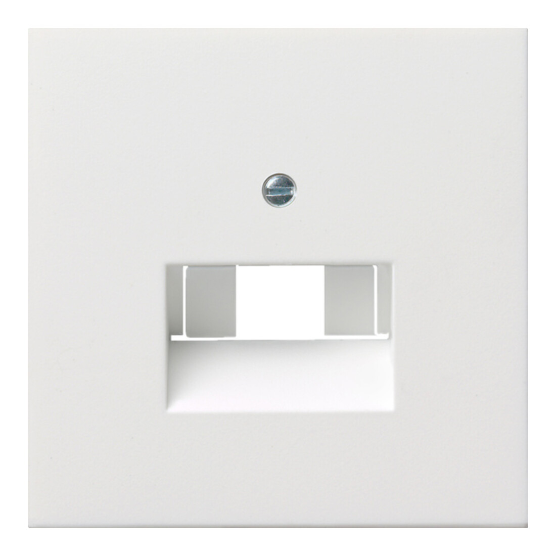 Gira Plaque centrale UAE/IAE rws/gl 0270112
