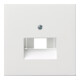 Gira Plaque centrale UAE/IAE rws/gl 0270112