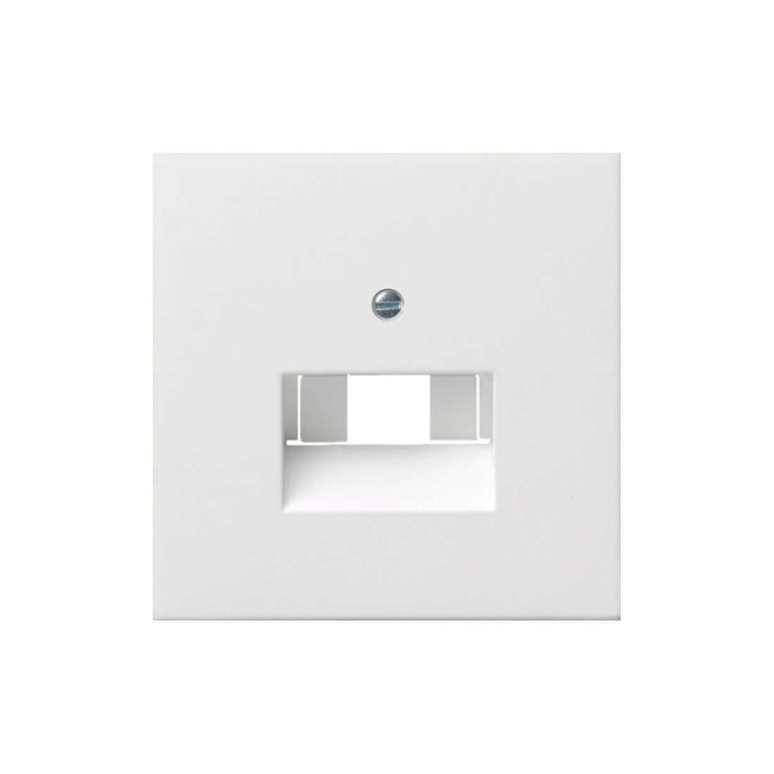 Gira Plaque centrale UAE/IAE rws/gl 0270112