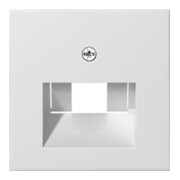 Gira Plaque centrale UAE/IAE rws System55 027027-1