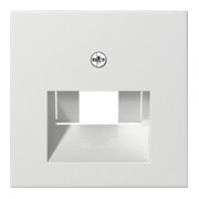 Gira Plaque centrale UAE/IAE rws System55 027027-3