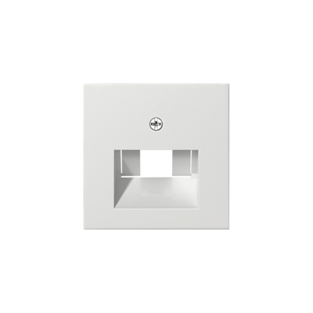 Gira Plaque centrale UAE/IAE rws System55 027027