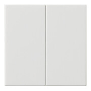 Gira Plaque de commande 2 fois rws 536203-1