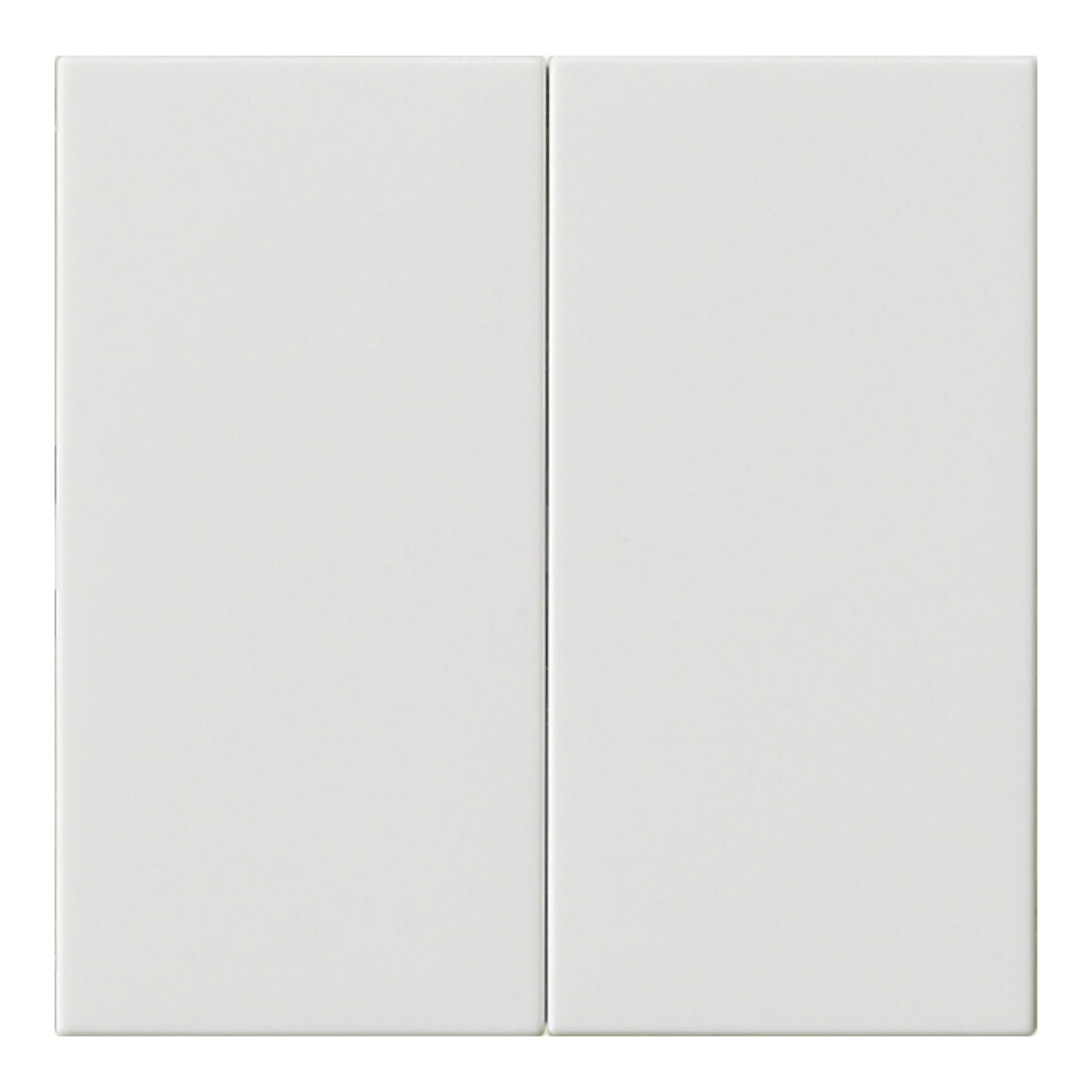 Gira Plaque de commande 2 fois rws 536203