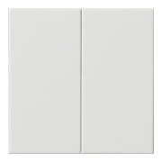 Gira Plaque de commande 2 fois rws 536203-3