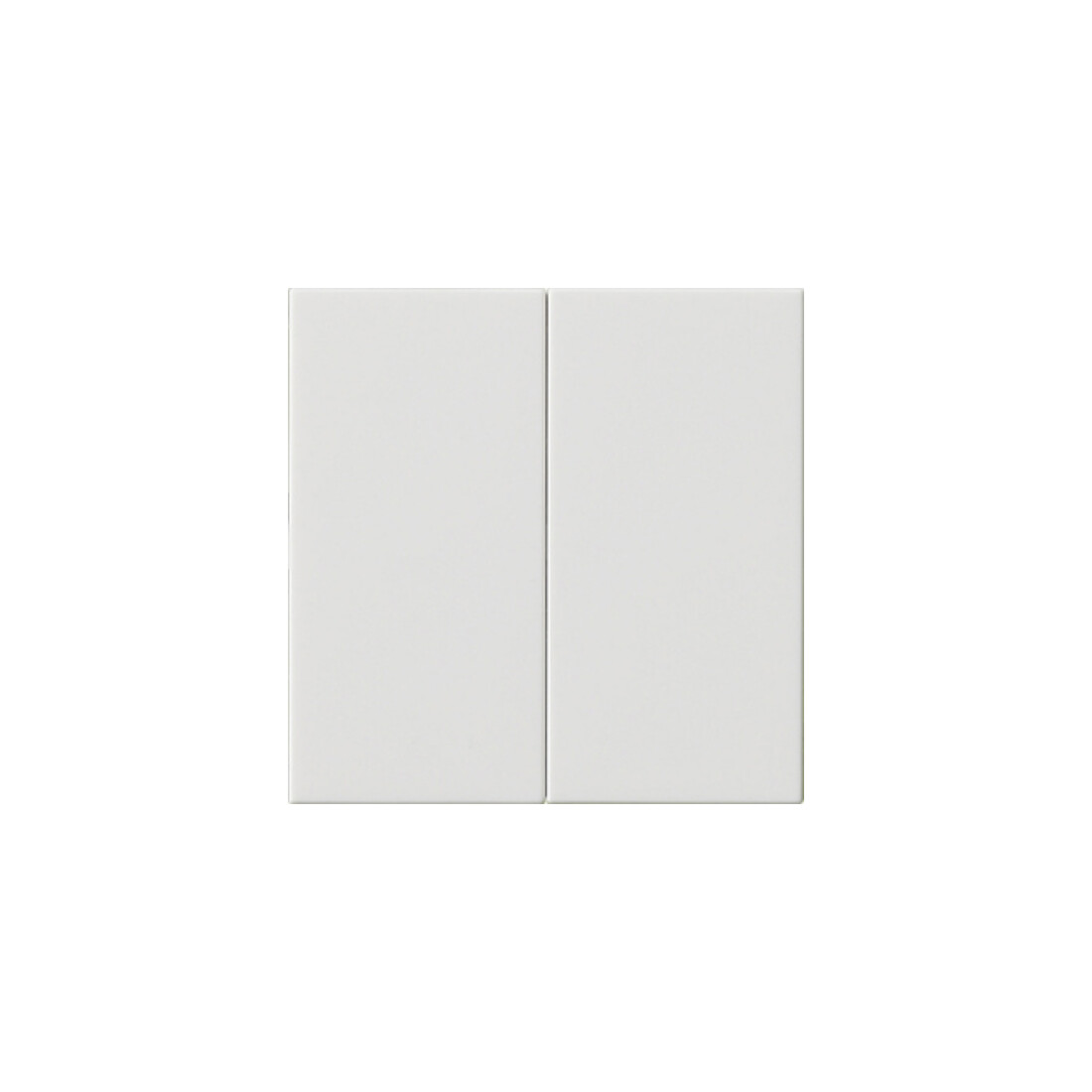 Gira Plaque de commande 2 fois rws 536203