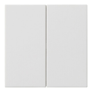 Gira Plaque de commande 2x rws 536227