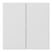 Gira Plaque de commande 2x rws 536227-1