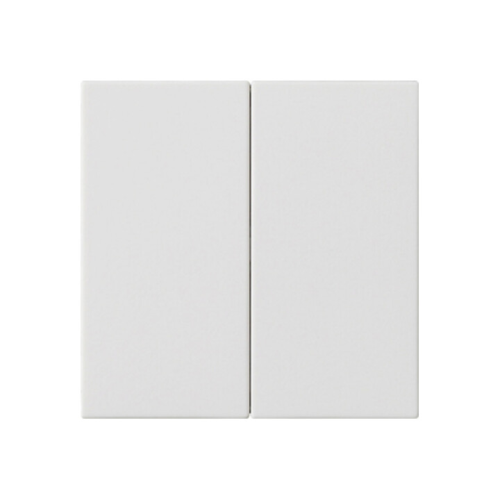 Gira Plaque de commande 2x rws 536227