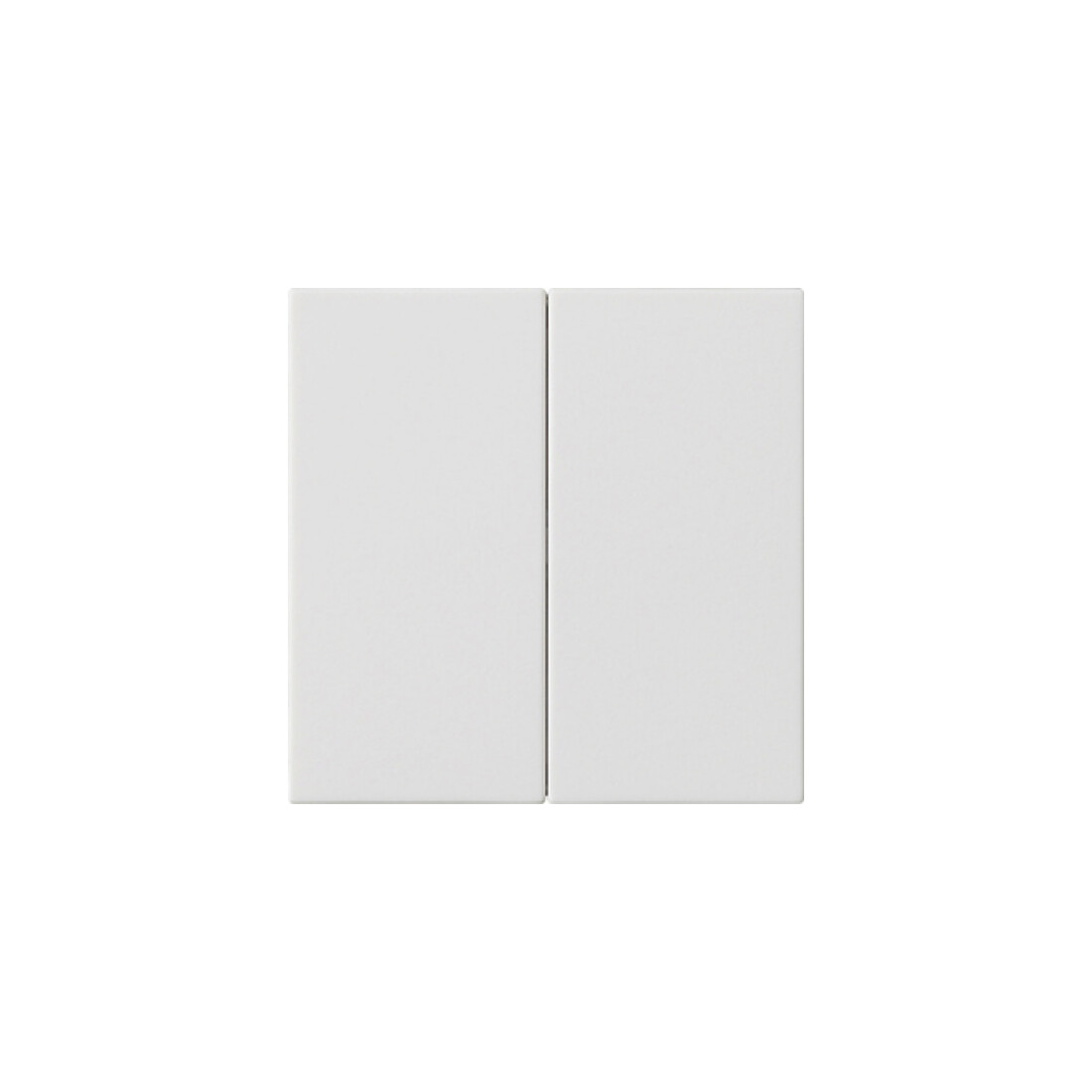 Gira Plaque de commande 2x rws 536227