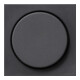 Gira Plaque de commande pour variateur anthracite System55 065028