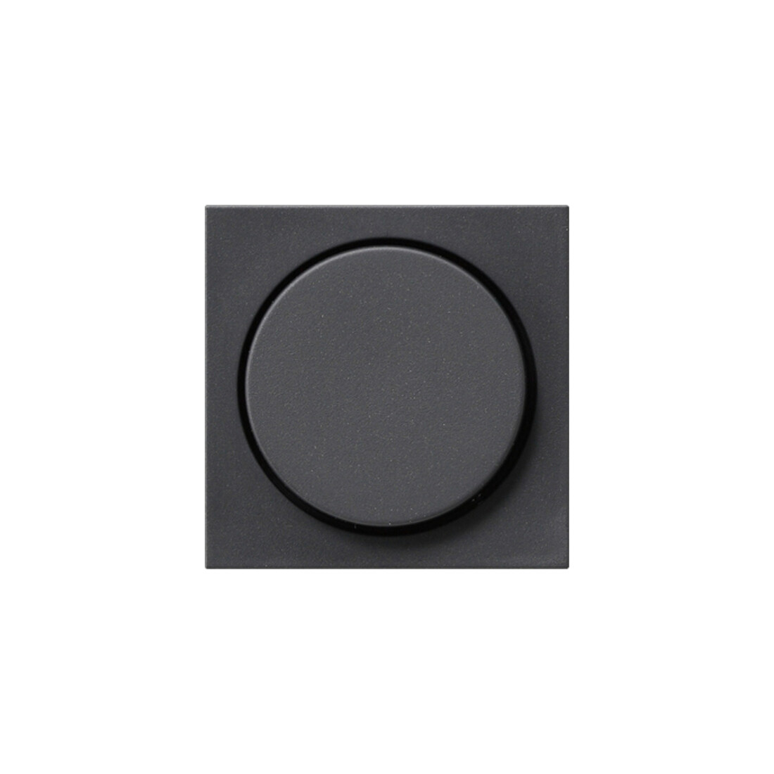 Gira Plaque de commande pour variateur anthracite System55 065028
